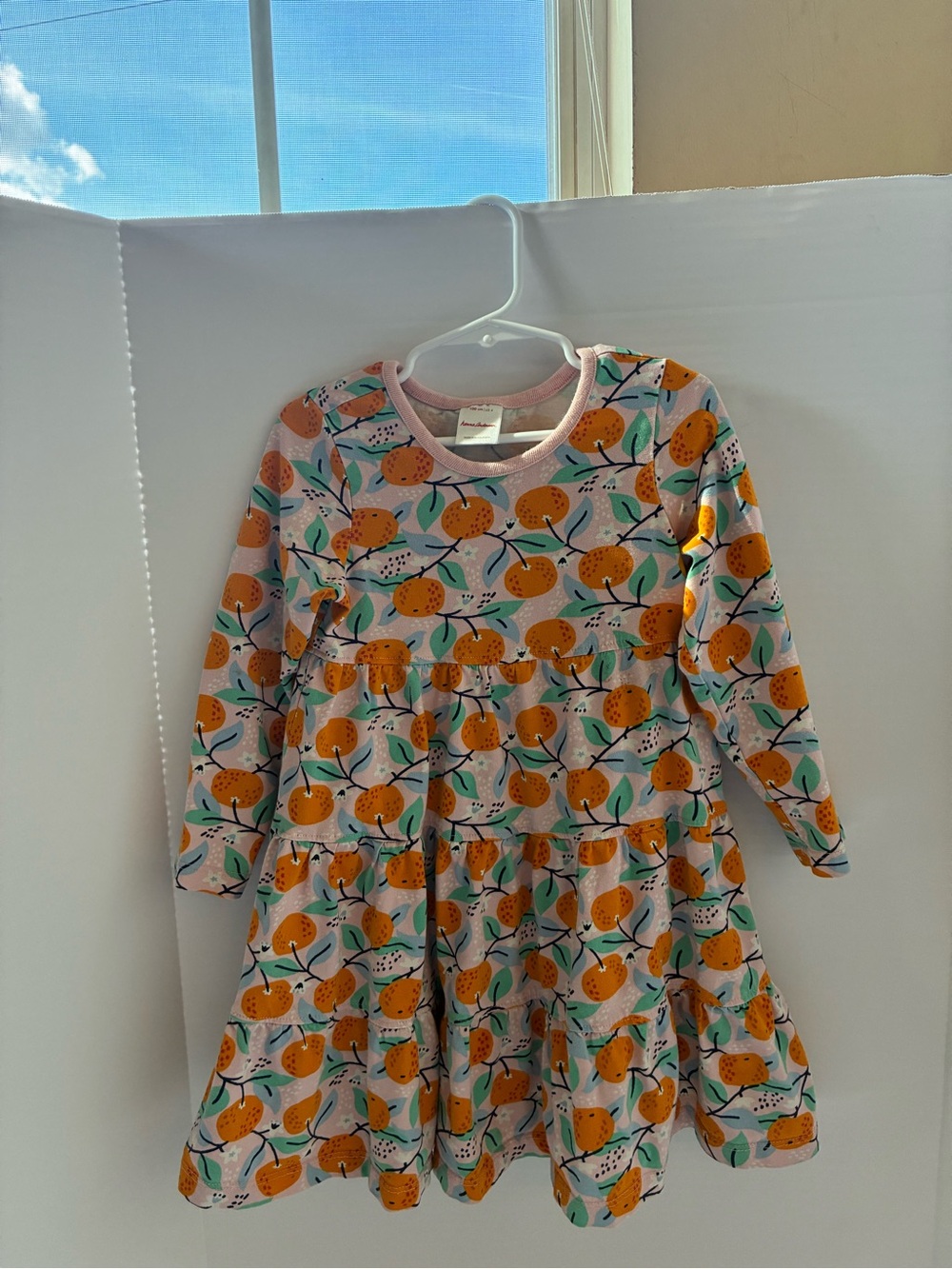 Girls HANNA ANDERSON Dress 4